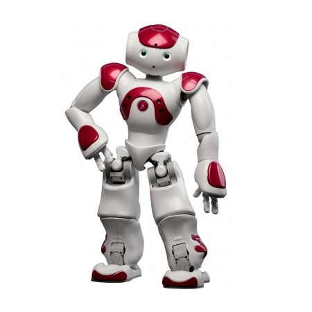  Robot Humanoïde programmable NAO Evolution