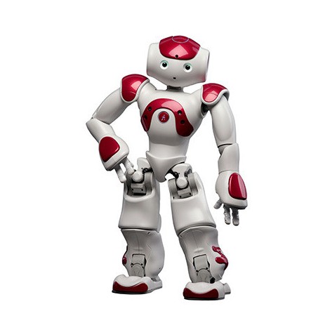 NAO Evolution, programmable humanoid robot in red