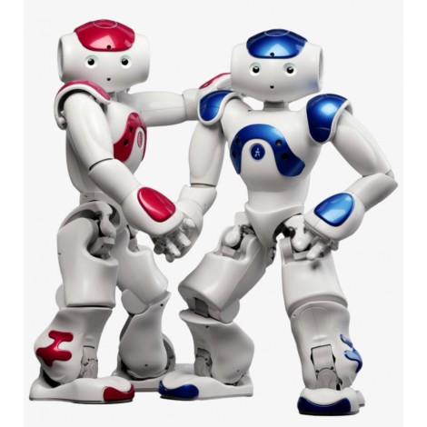 Fortgeschrittenenset - Programmierbare humanoiden Roboter NAO Evolution