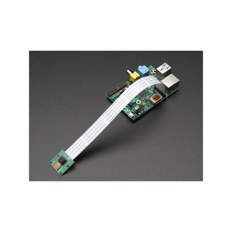 Câble flexible 200mm pour caméra Raspberry Pi