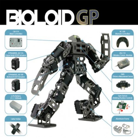 Robotis GP - Programmierbarer humanoider