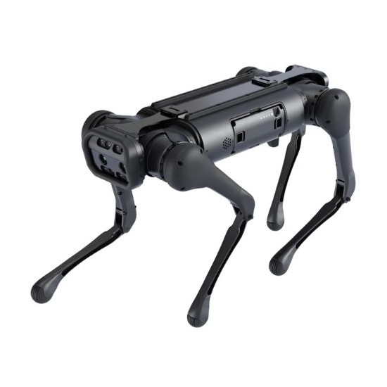 Quadruped robot hot sale dog