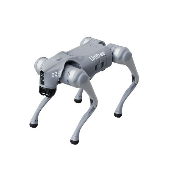 Go2 quadruped robot Edu Plus