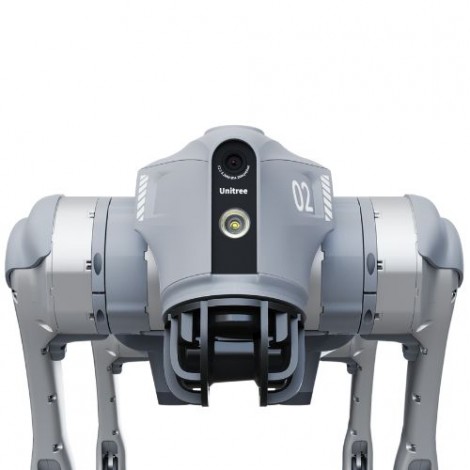 Robot per cani Go2 (Edu Plus)