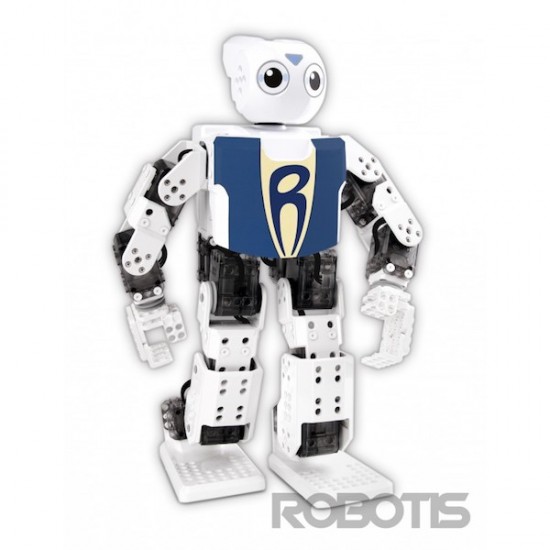 Robot umanoide programmabile Robotis-Mini