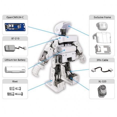 Programmierbarer humanoider Roboter Robotis Mini