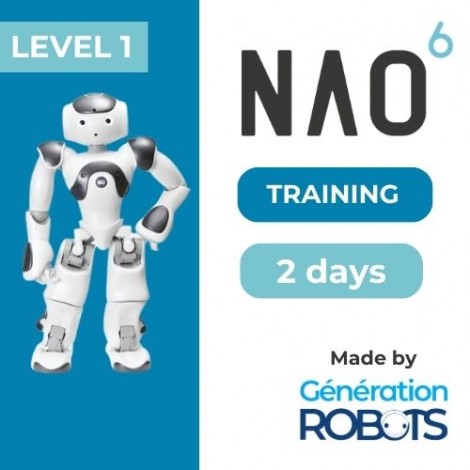 NAO-Programmierkurs - Stufe 1 - 2 Tage