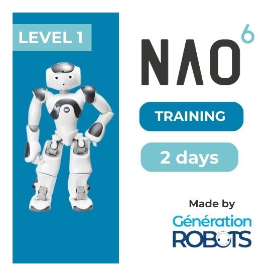 Formation programmation NAO - Niveau 1 "Buddy" - 2 jours