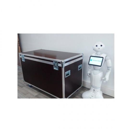 Valise de transport flight case pour robot humanoïde PEPPER