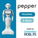 Training - Learn how to program PEPPER - 3 days