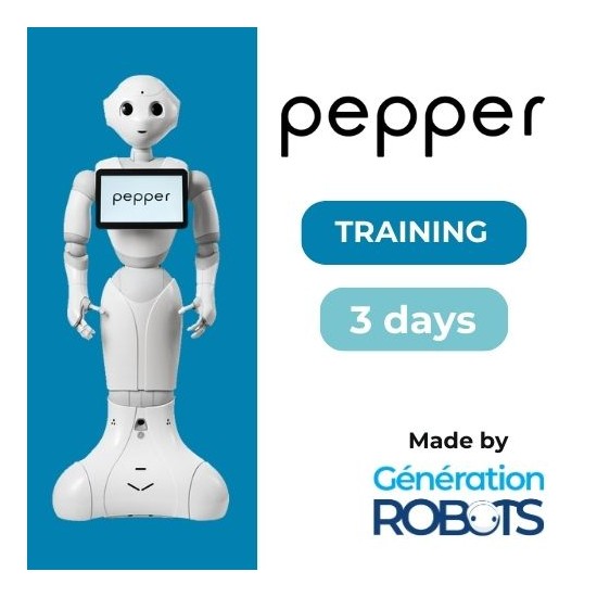 Training - Lernen Sie, Pepper zu programmieren - 3 Tage