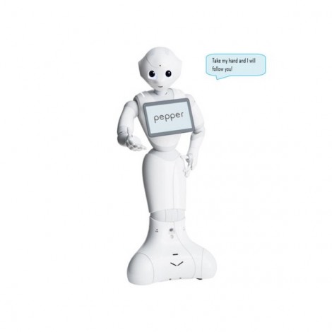 Pepper Follow Me (Folge Mir) Application - 1 Roboter Lizenz