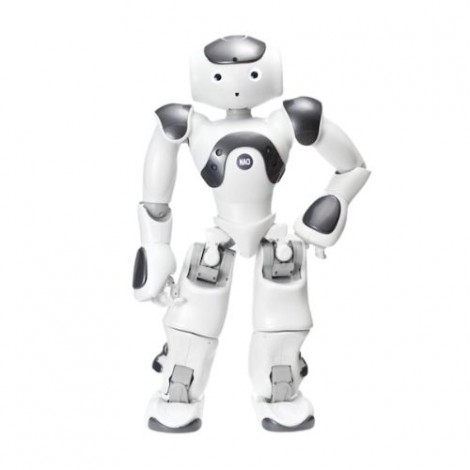 Robot umanoide programmabile NAO V6
