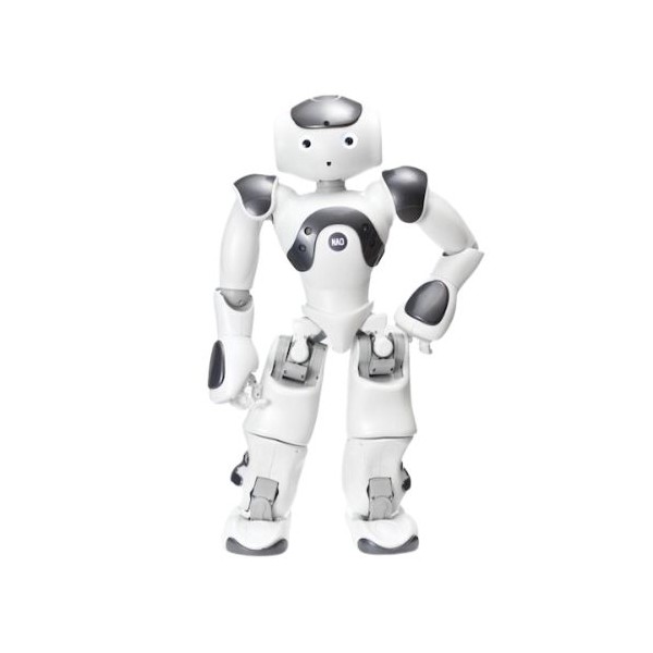 Programmierbarer humanoider Roboter NAO Version 6