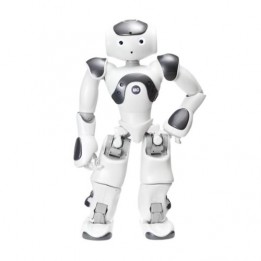 Programmable Humanoid Robot   NAO V6