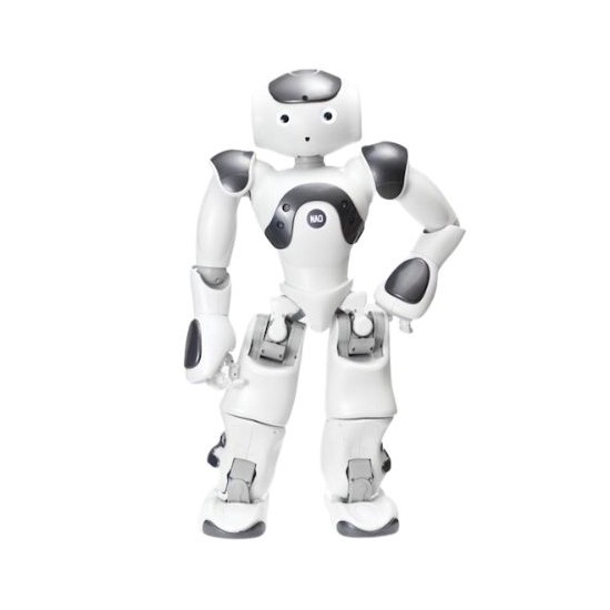 Programmierbarer humanoider Roboter NAO Version 6