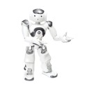 Robot humanoïde programmable NAO V6