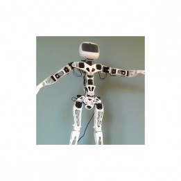 Poppy Humanoid Robot  (with 3D parts)