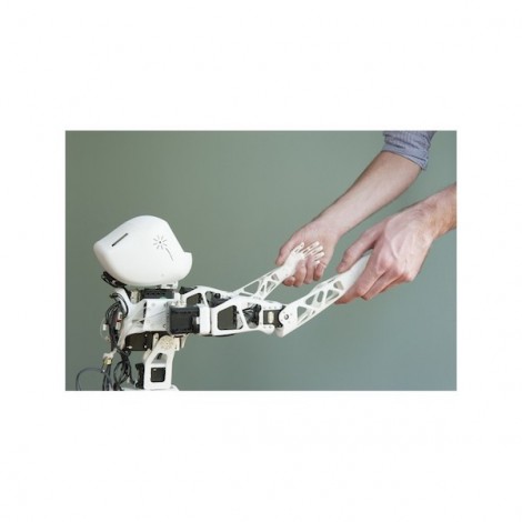 Poppy Humanoid Roboter (mit Teilen aus 3D-Druck)