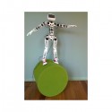 Poppy Humanoid Roboter (mit Teilen aus 3D-Druck)