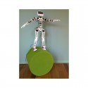 Robot Poppy Humanoid (sans impressions 3D)