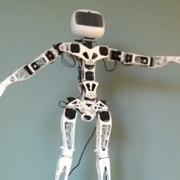 Poppy Humanoid Roboter (ohne Teilen aus 3D-Druck)