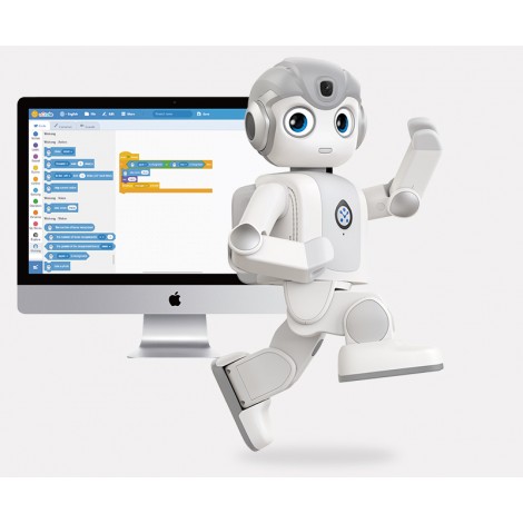 Alpha Mini Humanoid educational robot