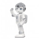 Alpha Mini Humanoid educational robot