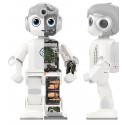 Robot éducatif humanoïde Alpha mini