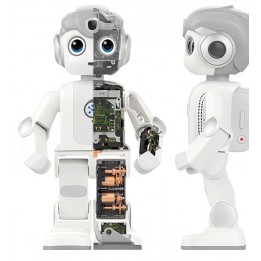 Alpha mini robot umanoide educativo