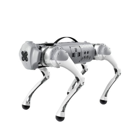 Robot chien Go1 (Edu)