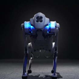 Quadruped-Roboter Go1 Edu
