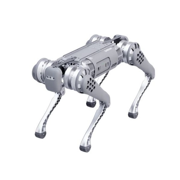 Vierbeiniger Roboterhund B1