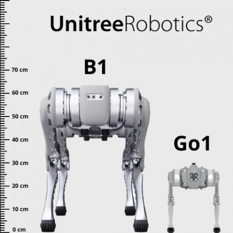 Robot chien quadrupède B1