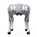 Vierbeiniger Roboterhund B1