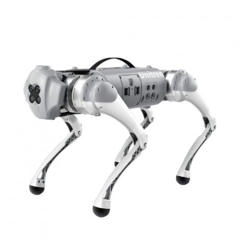 Robot chien Go1 (Air)