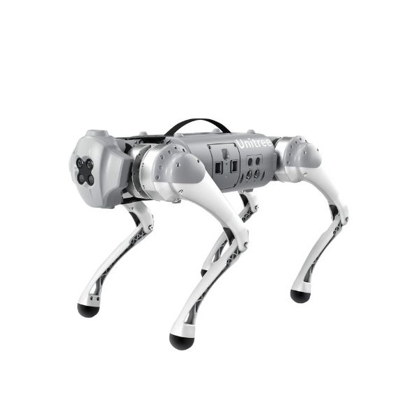 Robot chien Go1 (Air)