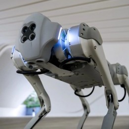 Roboterhund Go1 Air