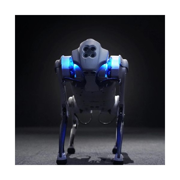 Robot Chien Go1 Air Unitree Robotics