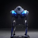 Robot chien Go1 (Pro)