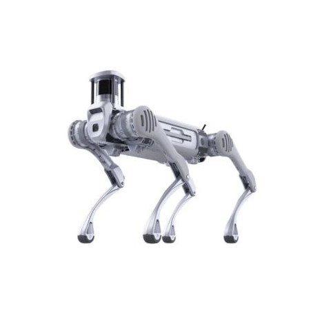 B2 Quadruped Robot Dog