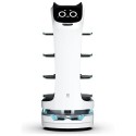 PUDU BellaBot server robot