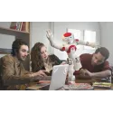 Offre Expert - Robot Humanoïde programmable NAO Evolution Offre Expert - Robot Humanoïde programmable NAO Evolution