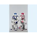 Offre Expert - Robot Humanoïde programmable NAO Evolution Offre Expert - Robot Humanoïde programmable NAO Evolution