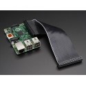 GPIO-Flachkabel für Raspberry Pi Modelle A+/B+/Pi 2 (40 Pins)