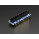 Pi Cobbler Plus montiert – GPIO-Flachkabel für Raspberry Pi B+/A+/Pi2 Pi Cobbler Plus montiert – GPIO-Flachkabel für Raspberry Pi B+/A+/Pi2