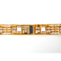 Wasserdichter, digitaler LED-Streifen mit 32 LEDs/Meter Wasserdichter, digitaler LED-Streifen mit 32 LEDs/Meter