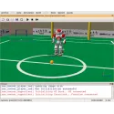 Webots for NAO - Licence 10 utilisateurs Webots for NAO - Licence 10 utilisateurs