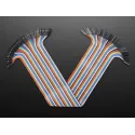Nappe de 40 câbles Jumper Extension premium F/F (300 mm) Nappe de 40 câbles Jumper Extension premium F/F (300 mm)