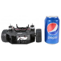 Châssis robotique Peewee Runt Rover™